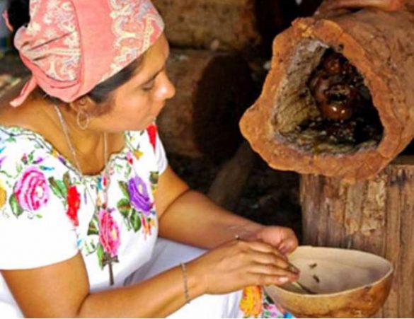 Productores-de-miel