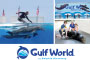 dolphin-discovery-n