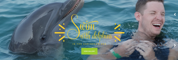 jamaica dolphin discovery 2