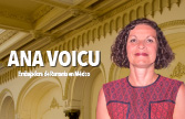 encuentros-ana-voicu-m