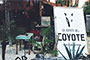 La-Suerte-del-Coyote-n