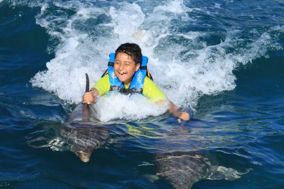 ganadores-buscando-a-dory-3