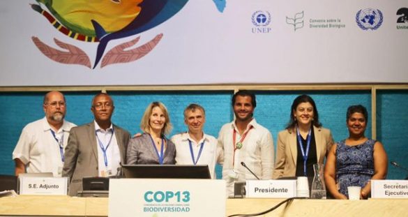 Concluye-Cop-13-de-Cancun