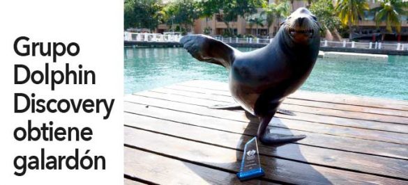 dolphin-discovery-obtiene-galardon