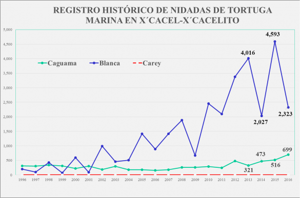 Imagen1