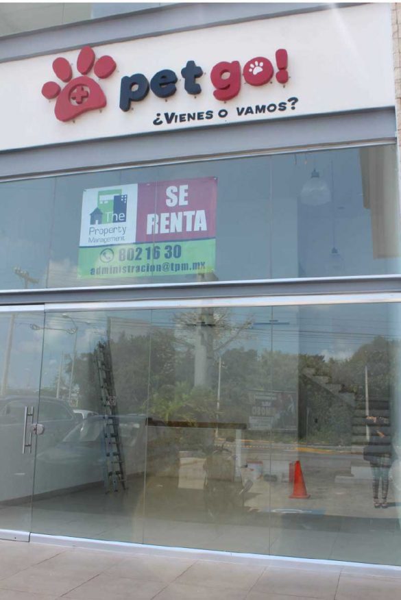 ↓ ↓ Pet Go! Revista Latitud 21