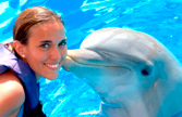 delfinarios-PVEM-m