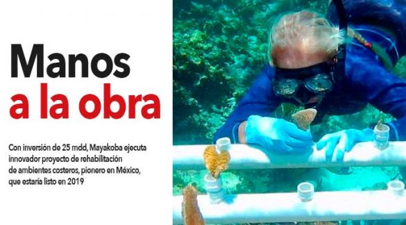 destacados-mayakoba