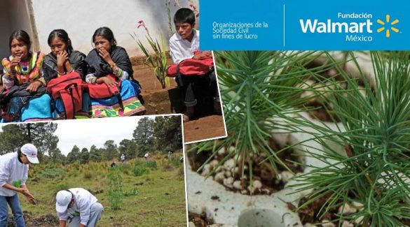 fundacion-walmart