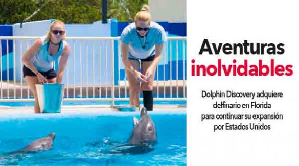 aventuras-inolvidables-dolphin-discovery