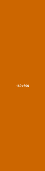 banner_160x600