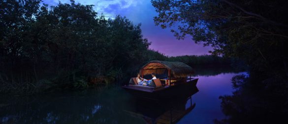 mayakoba bote noche