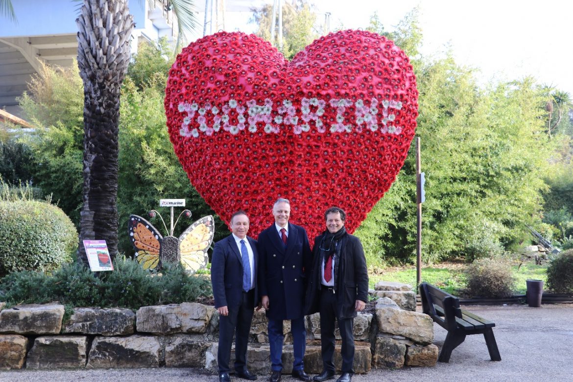 zoomarine albor