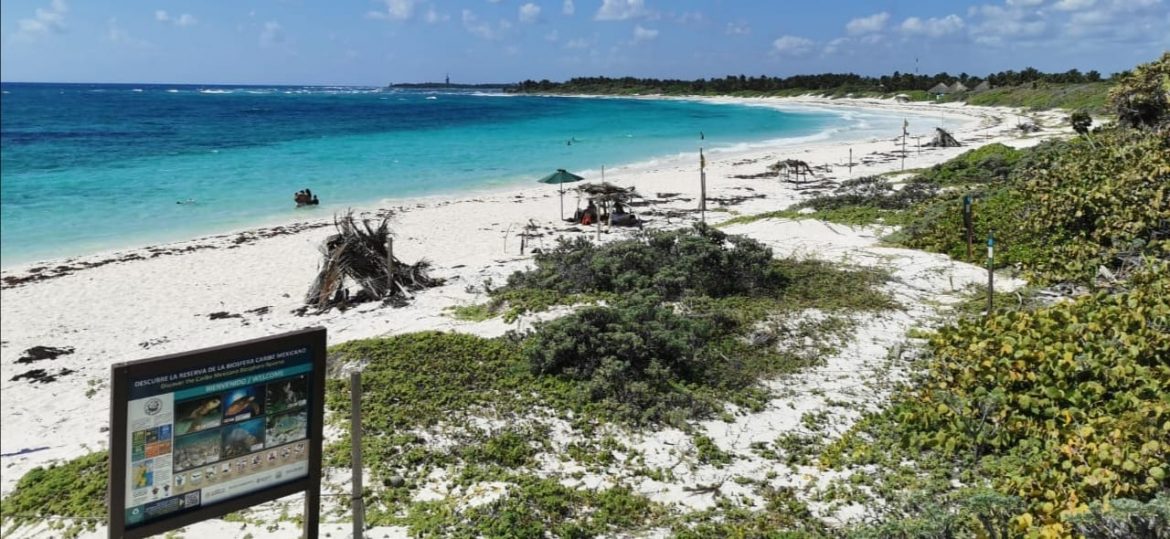 playas areas protegidas