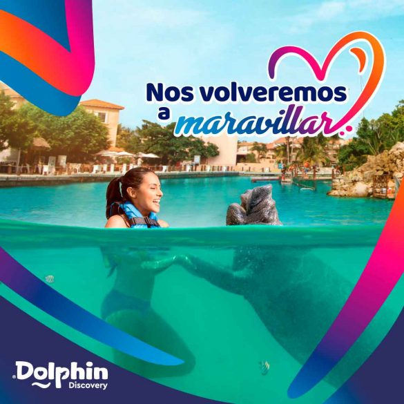 dolphin-volveremos-3