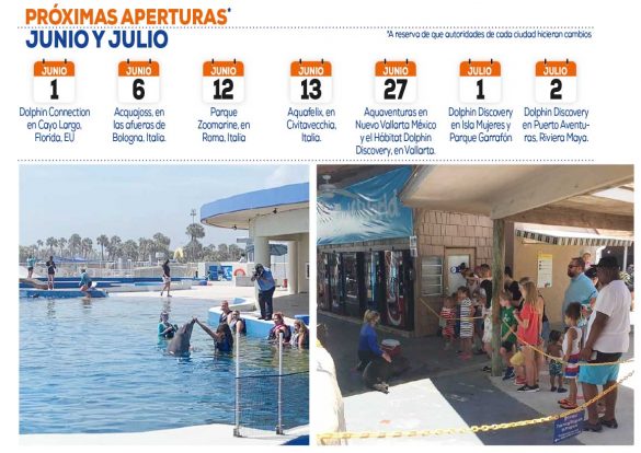 aperturas-the-dolphin