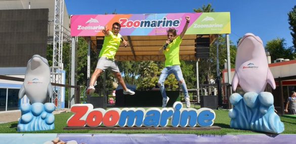 zoomarine