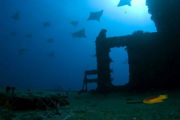 WRECK 112