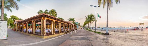 PALMERAS-2