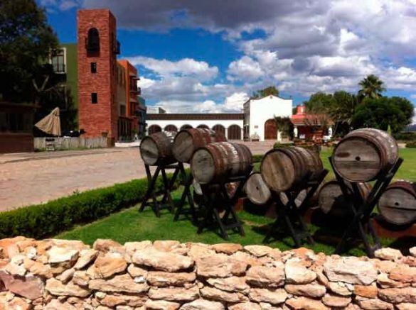 Gastrofest,-una-nueva-opción-de-enoturismo