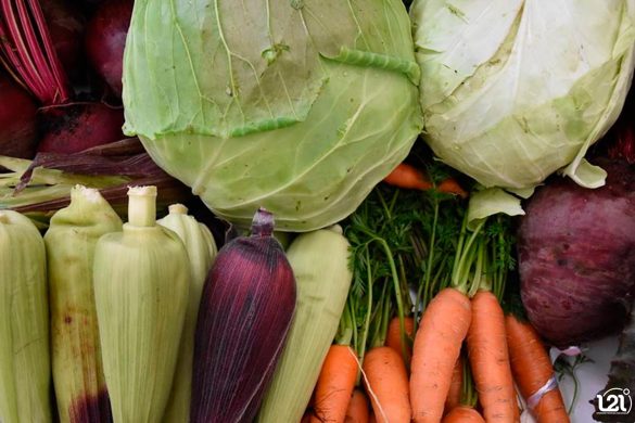 Cumbre-de-sistemas-alimentarios-de-ONU