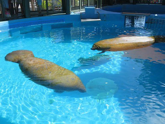 Miami Seaquarium 5