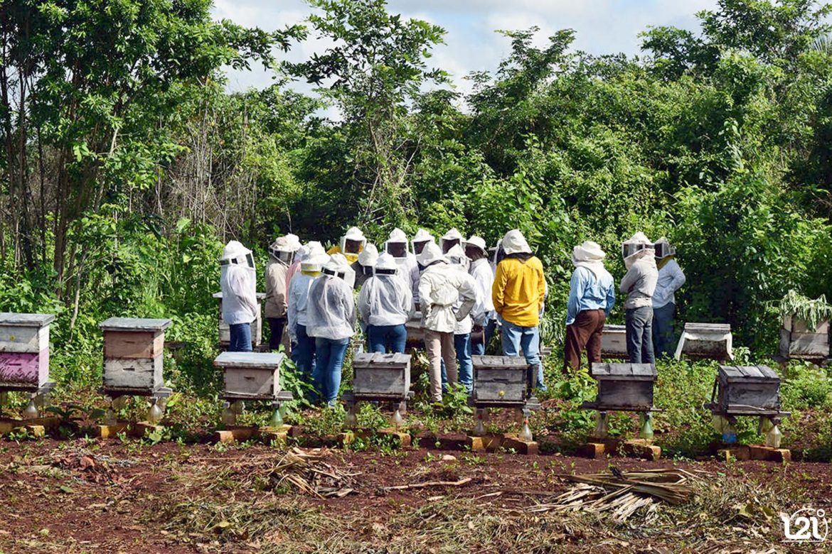 comunidades-autosostenibles