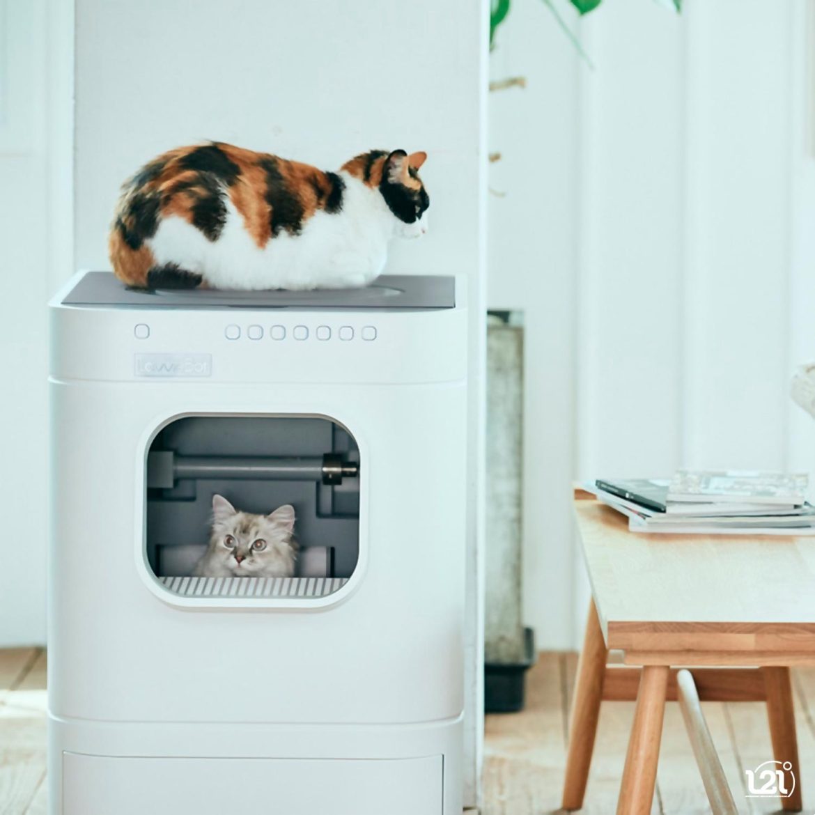 Ideal-para-tu-gato-y-para-ti