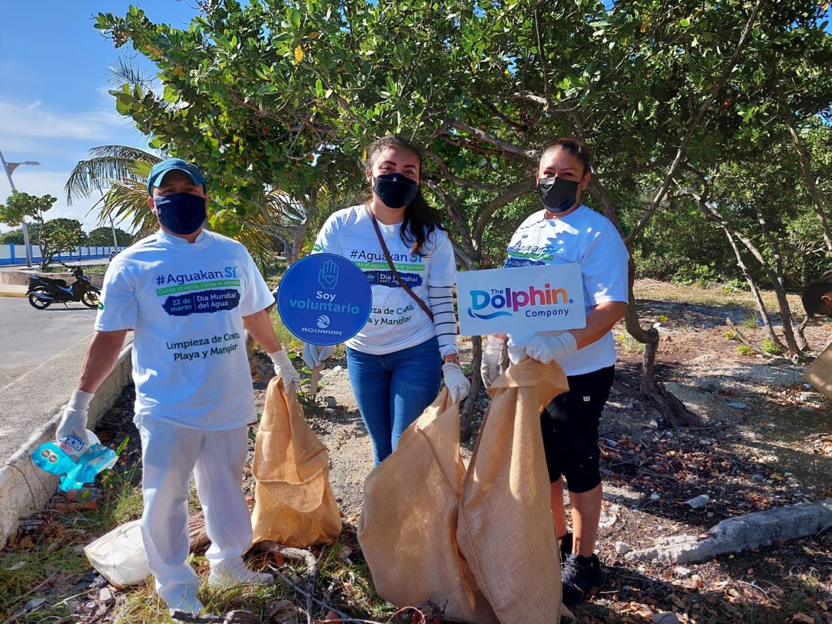 dolphin company ESR socialmenre responsable (1)