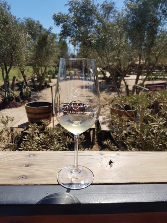 cielo vinos (4)