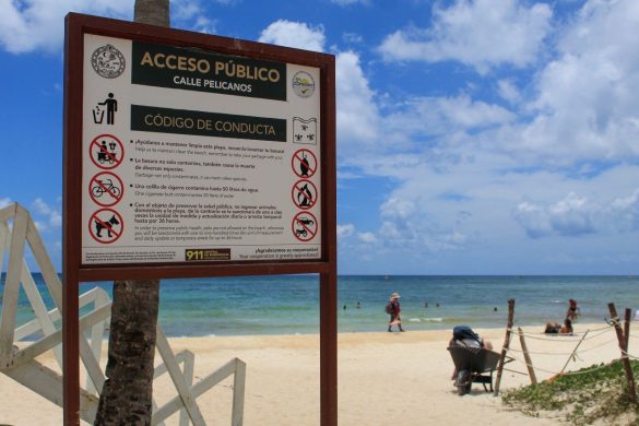 playas playa del (1)