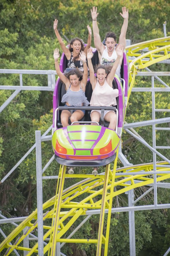 Pase Anual VenturaPark 4