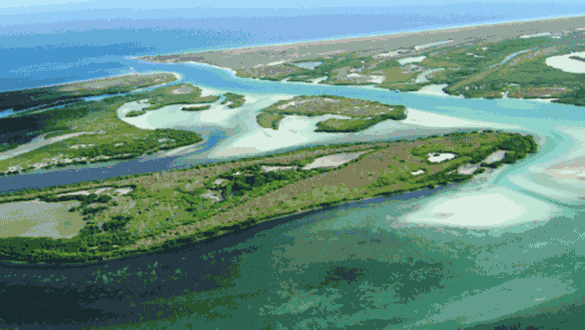 Vuela Yucatan