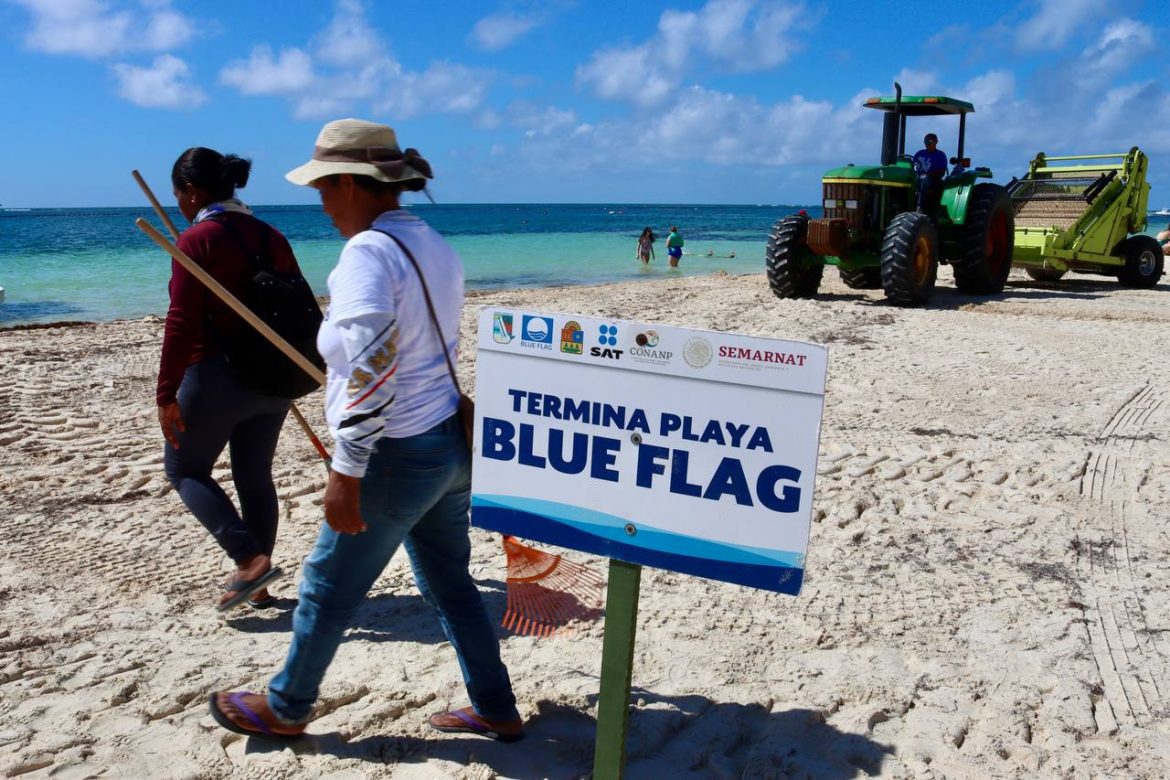 WhatsApp Image 2023-07-11 at 18.02.38