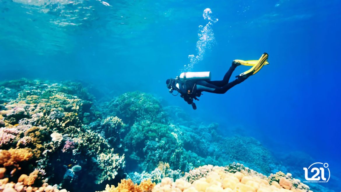scuba-show6