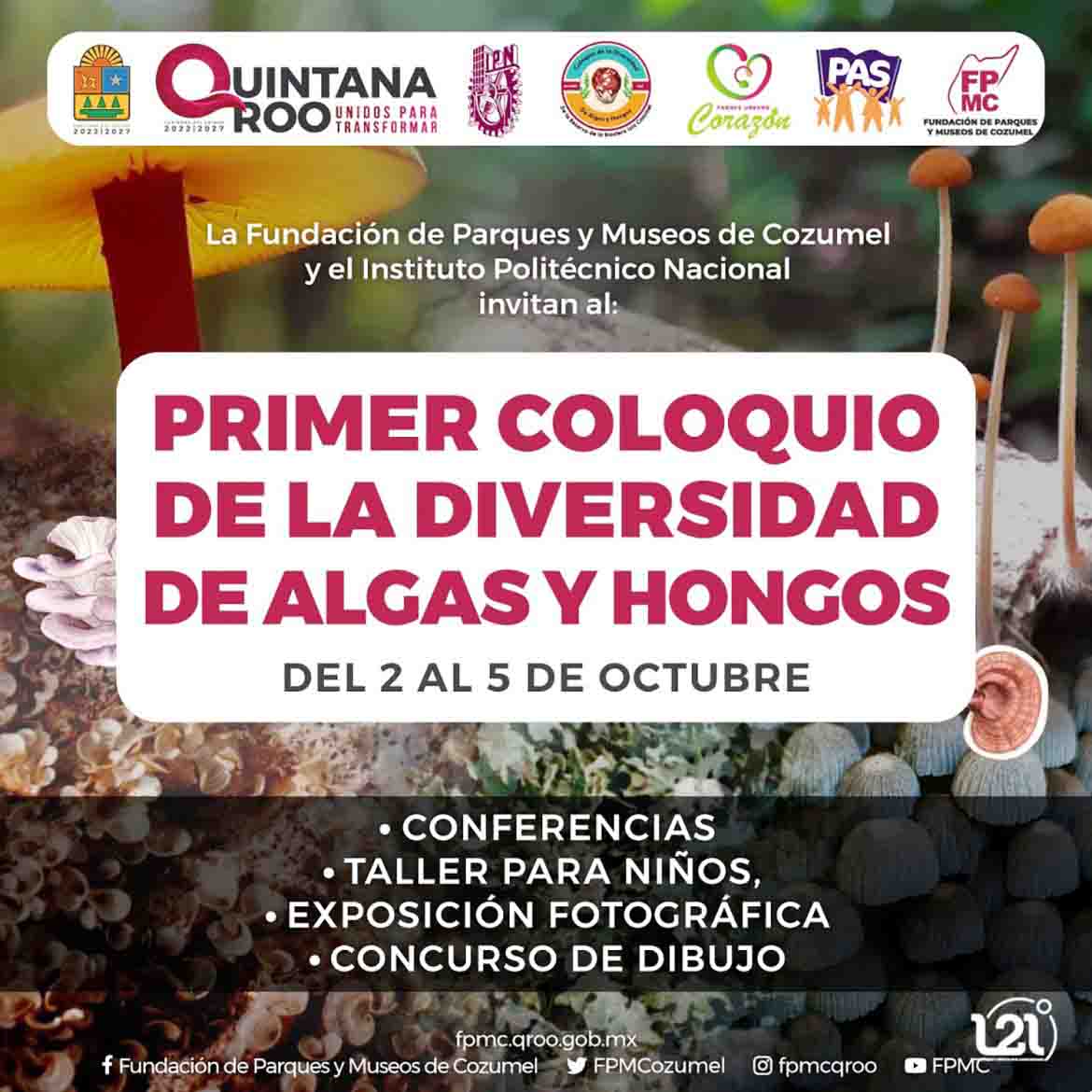 coloquio