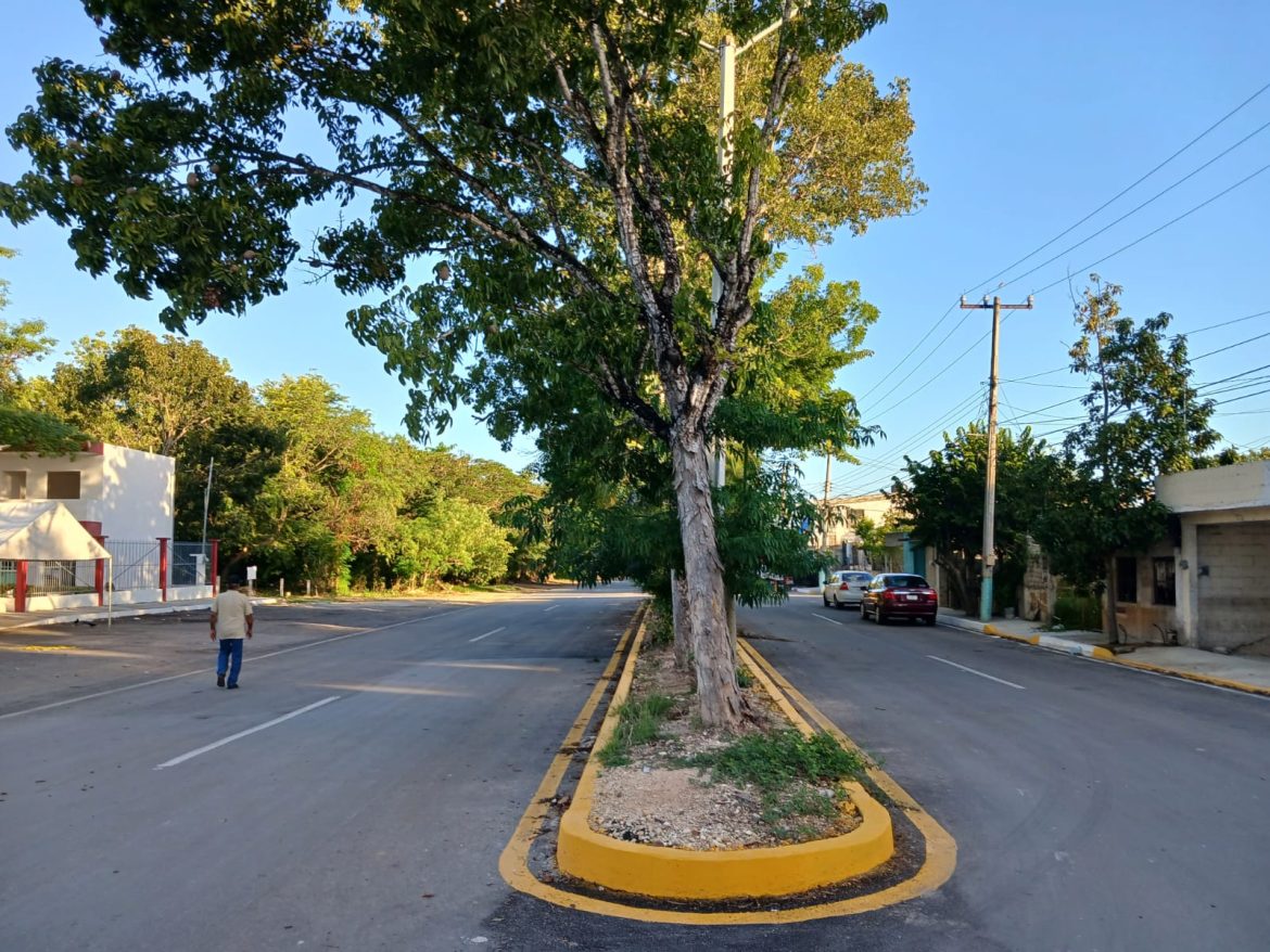 WhatsApp Image 2024-01-03 at 9.32.53 AM (1)