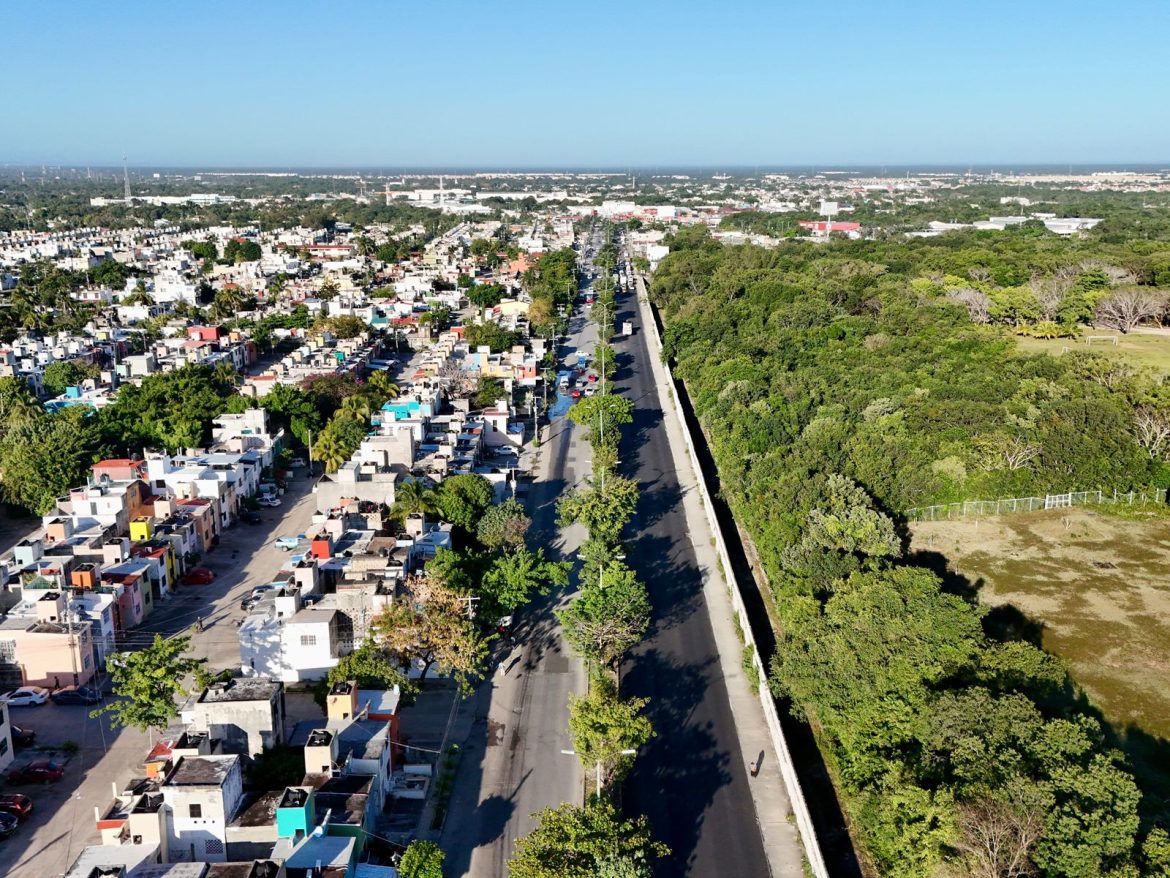 WhatsApp Image 2024-02-20 at 1.56.02 PM