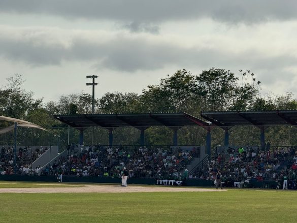 beisbol tigres (5)