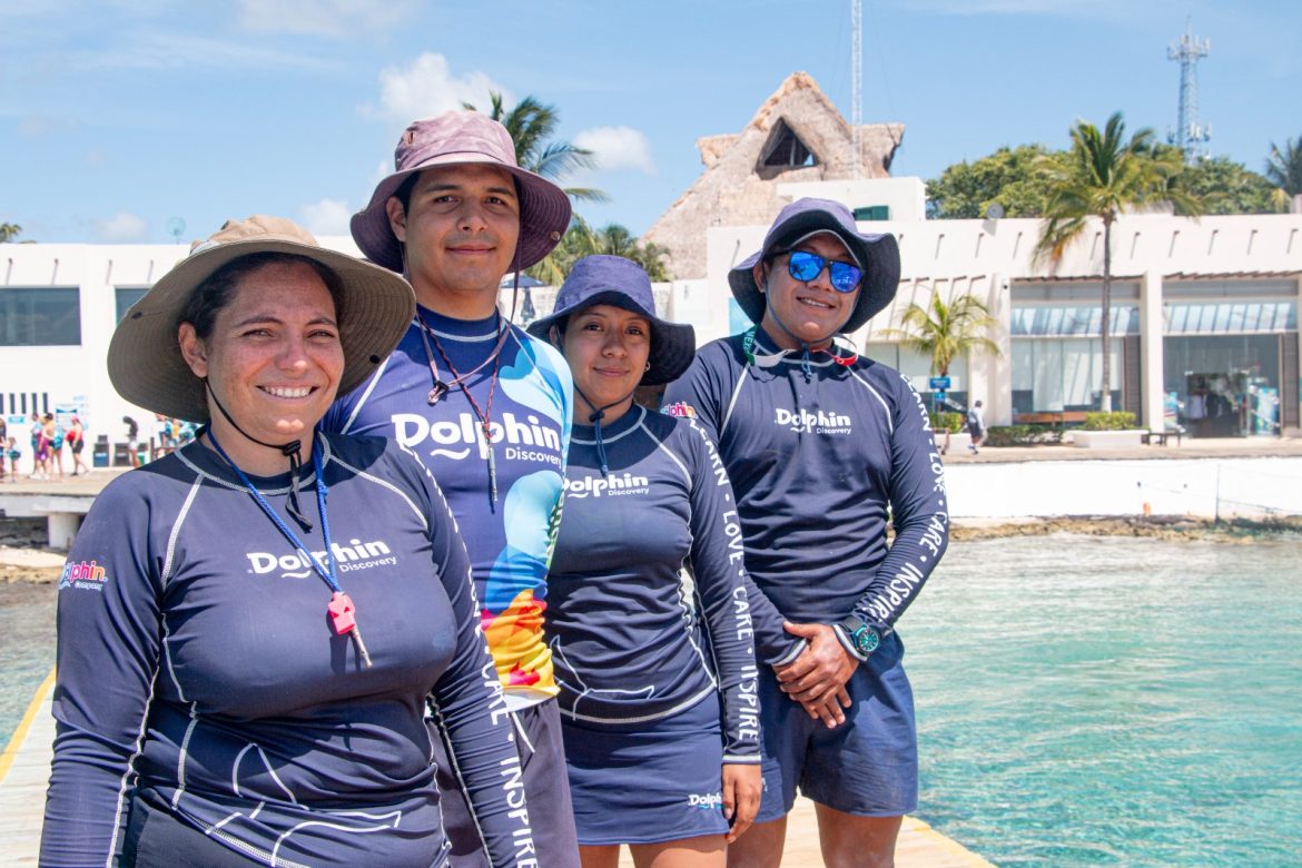 The dolphin company (3)