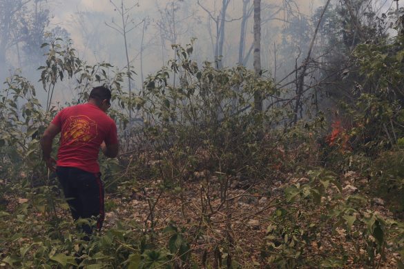 bomberos incendios (2)