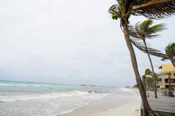 lluvias tormenta playa del carmen (4)