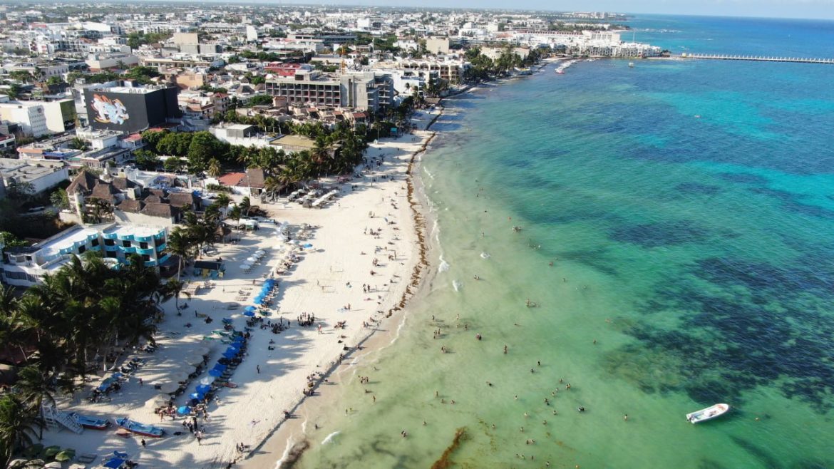playa del carmen sargazo (4)