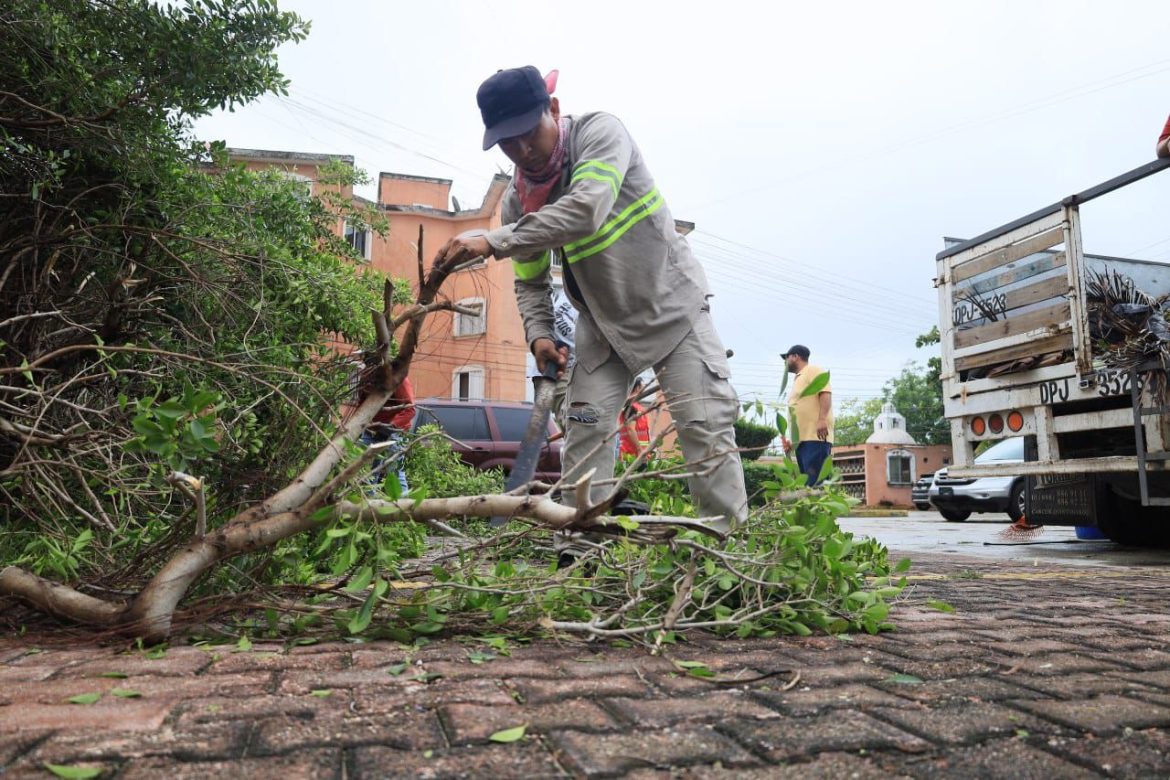 huracanes prevencion arboles y bacheo (1)