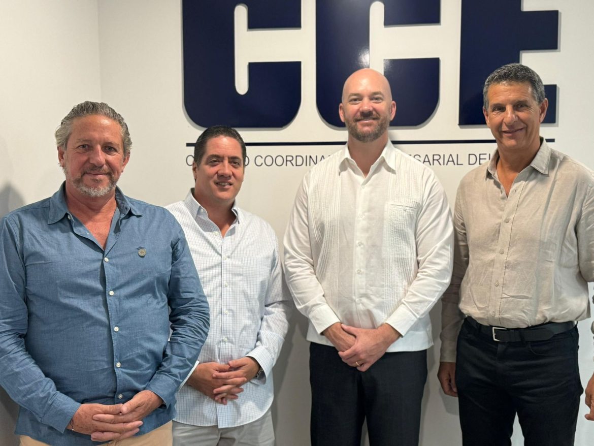cce y consul