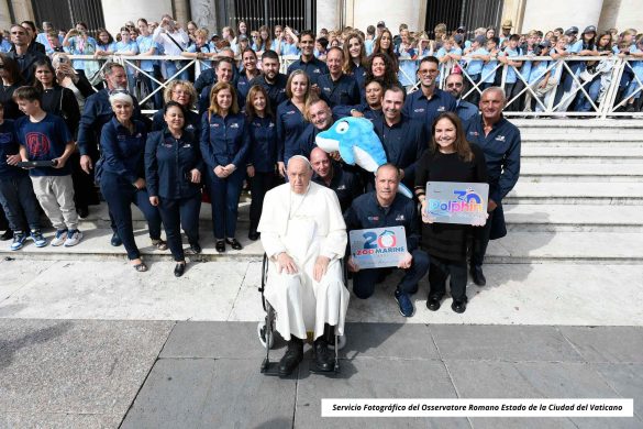 Dolphin vaticano (1)