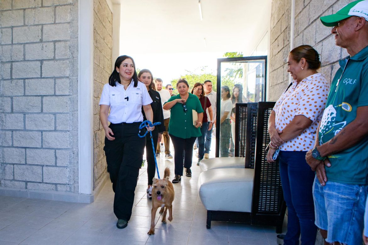 WhatsApp Image 2024-10-12 at 12.40.20 PM