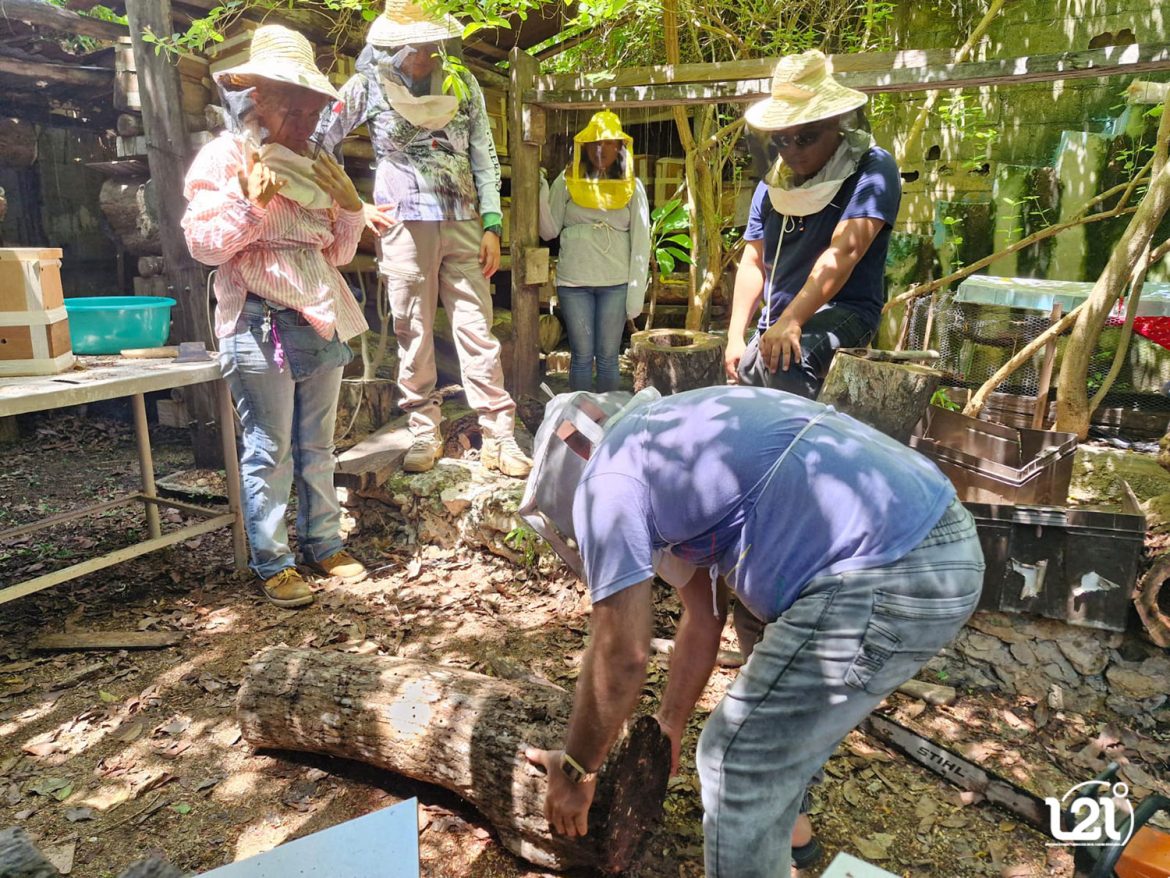 holcim-y-abejas-en-laguna-manati-(1)