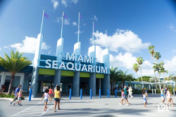 Miami-Seaquarium-4-scaled