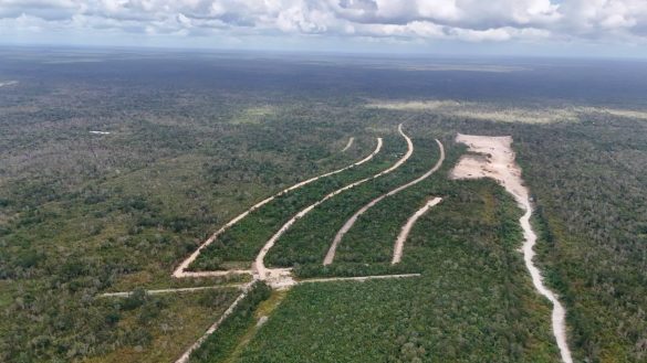 WhatsApp Image 2025-02-17 at 2.18.06 PM